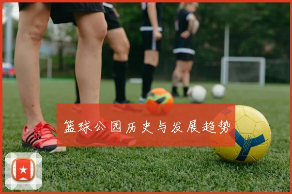 篮球公园历史与发展趋势